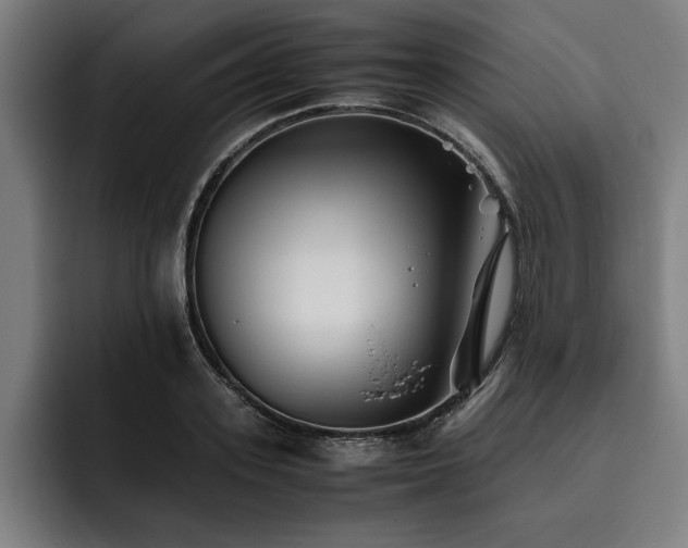 X0000093460939200710121404