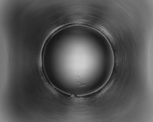 X0000093460940200710121404