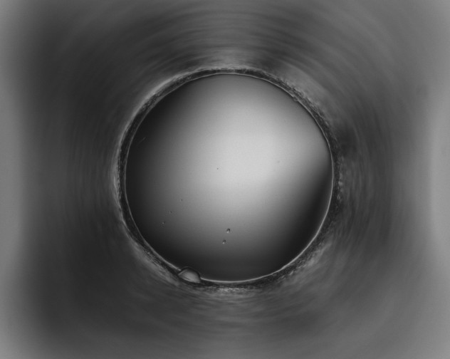 X0000093460942200710121404