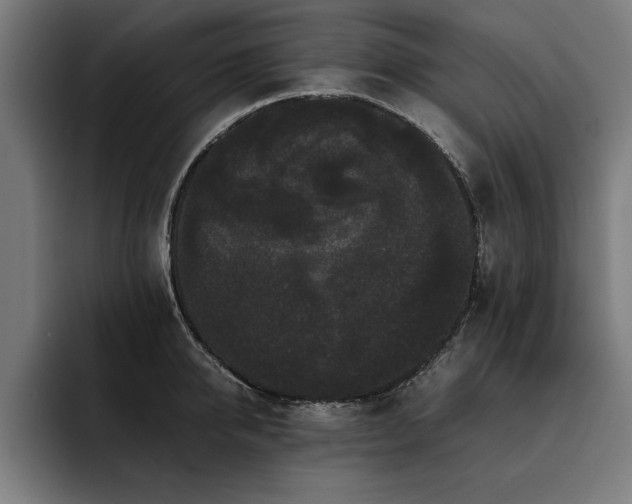 X0000093460950200710121404