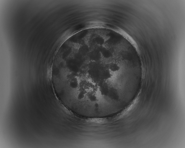 X0000093460953200710121404