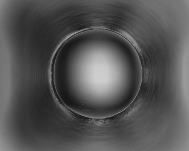 X0000093460955200710121404