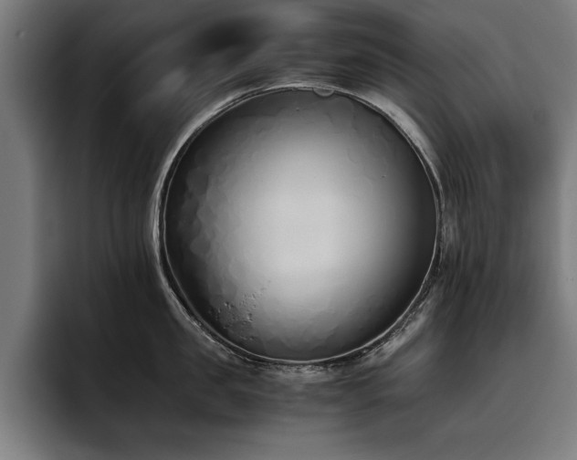 X0000093460957200710121404