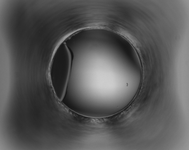 X0000093460960200710121404