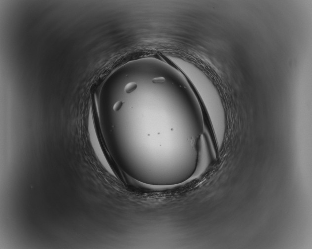 X0000093460965200710121403