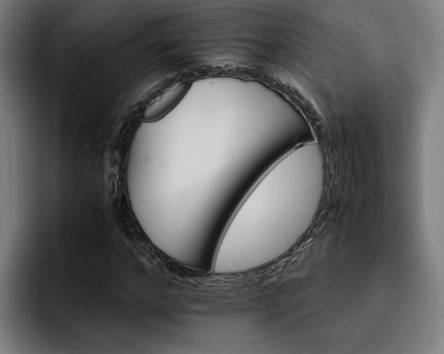 X0000093460968200710121403