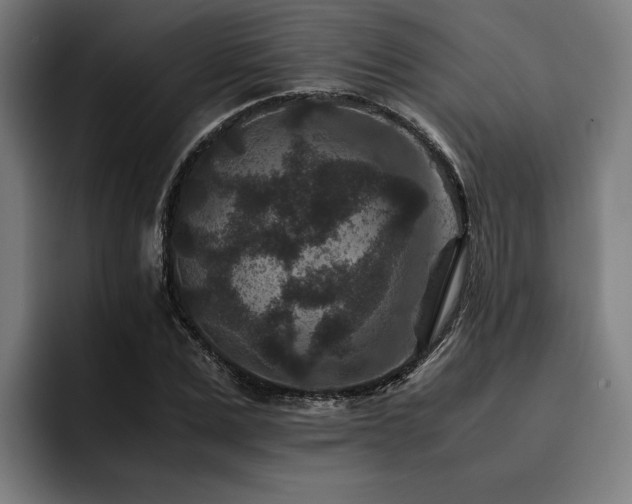 X0000093460975200710121403