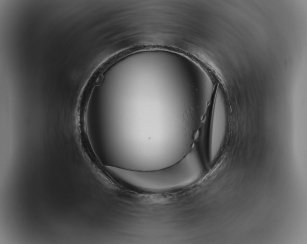 X0000093460976200710121403