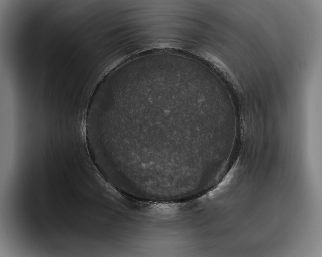 X0000093460977200710121403