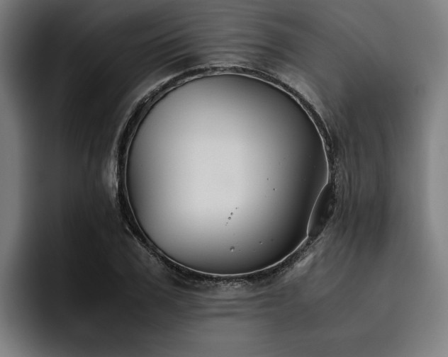 X0000093460979200710121403