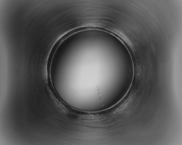 X0000093460980200710121403