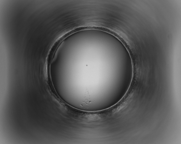 X0000093460982200710121403