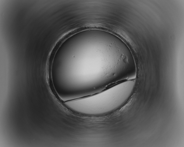 X0000093460984200710121403