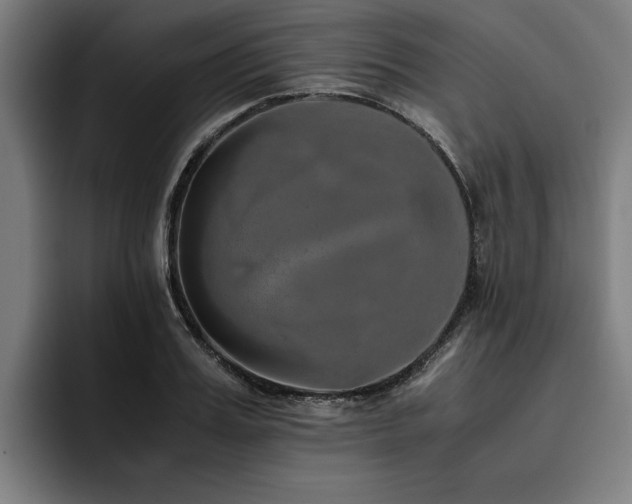 X0000093460987200710121403