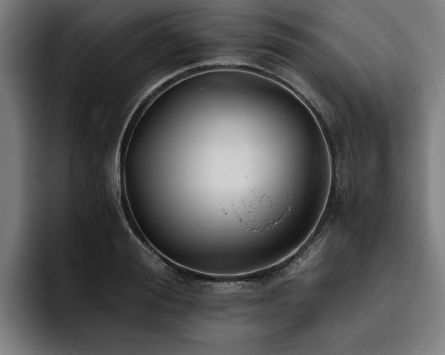 X0000093460988200710121403