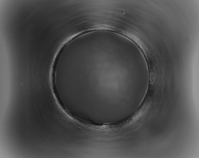 X0000093460995200710121403