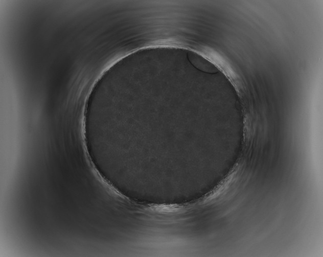 X0000093460998200710121403