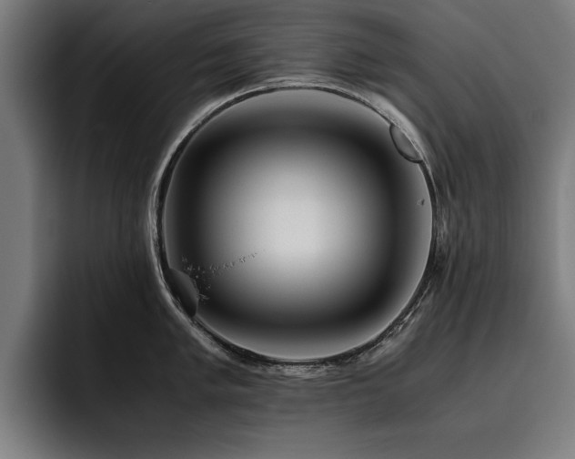 X0000093461005200710121403