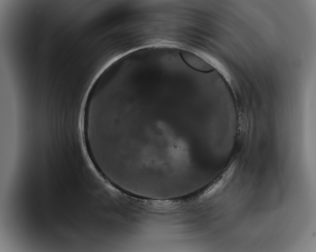 X0000093461007200710121403