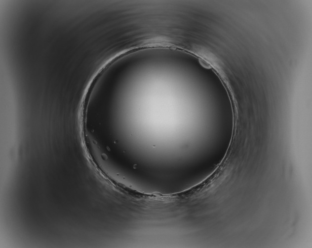 X0000093461008200710121403