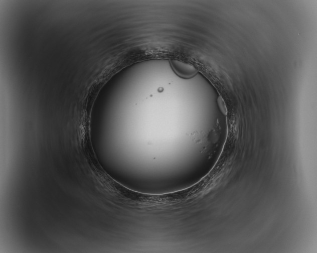 X0000093461012200710121402