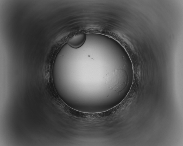 X0000093461015200710121402