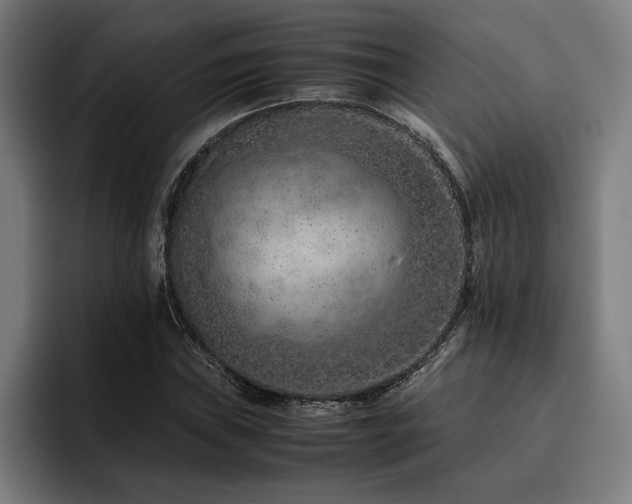 X0000093461019200710121402