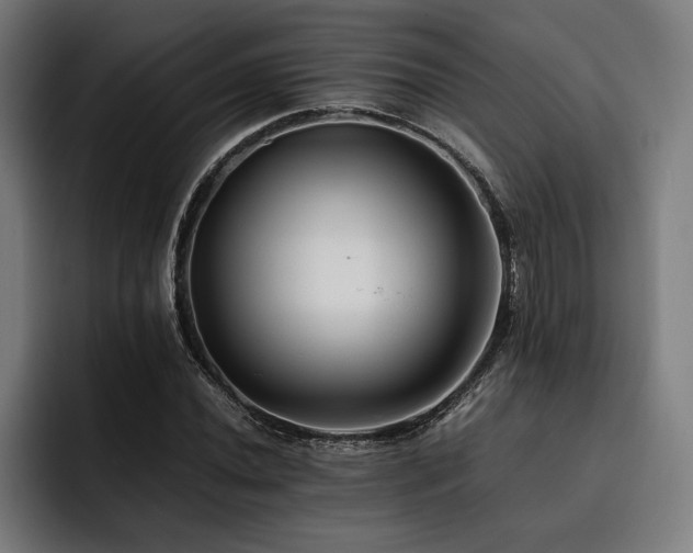 X0000093461020200710121402