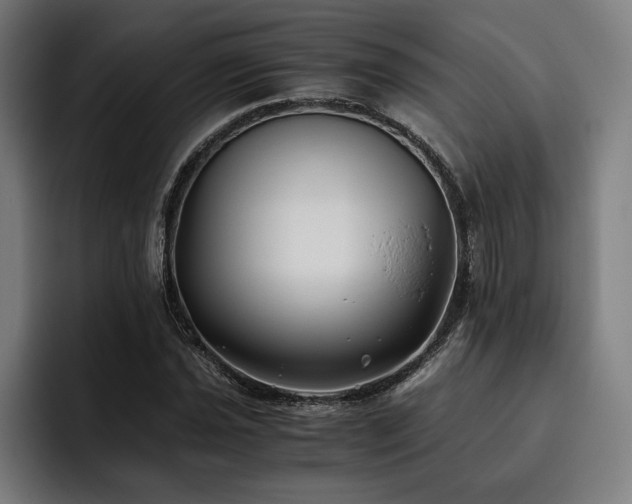 X0000093461021200710121402