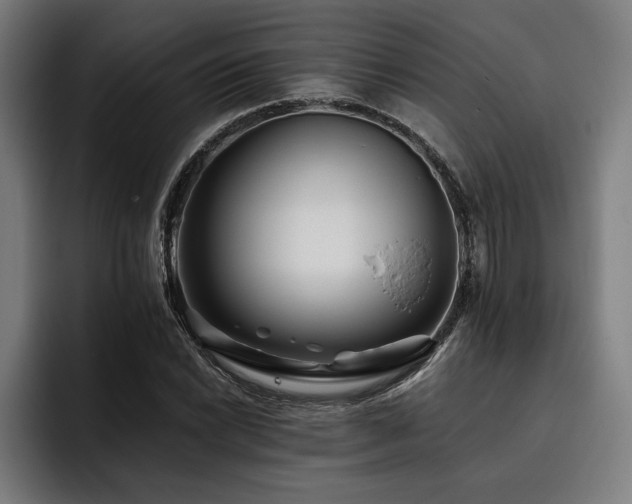 X0000093461022200710121402