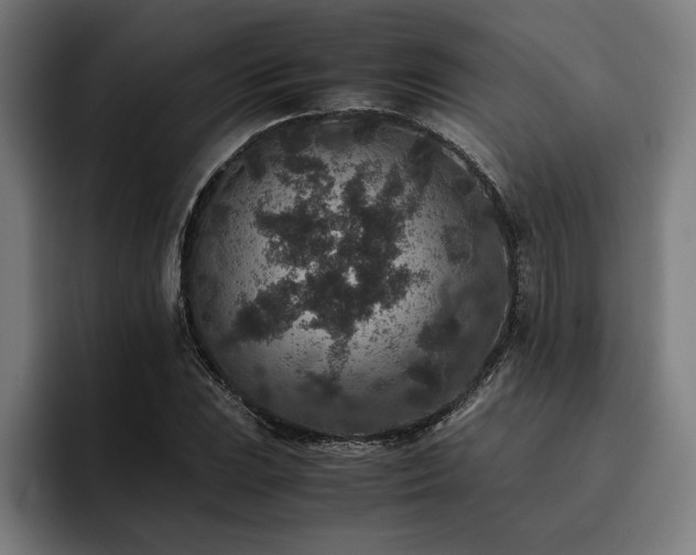 X0000093461023200710121402