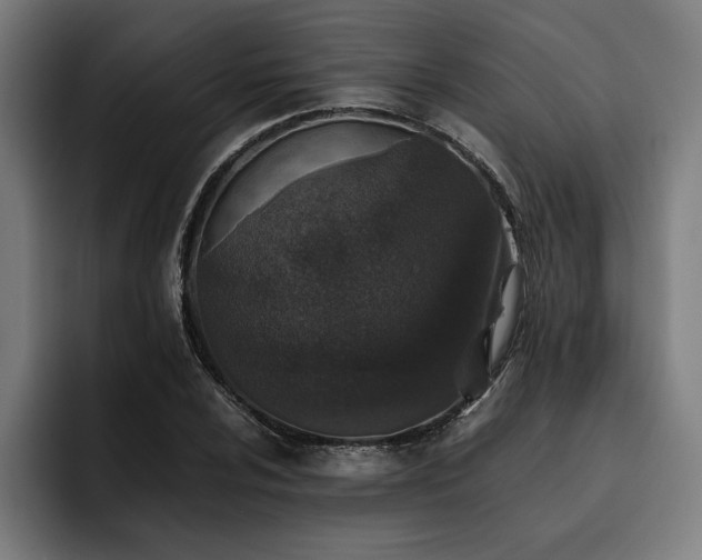 X0000093461024200710121402