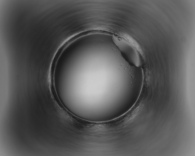 X0000093461028200710121402