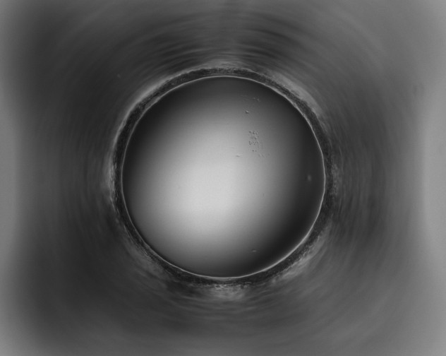 X0000093461029200710121402