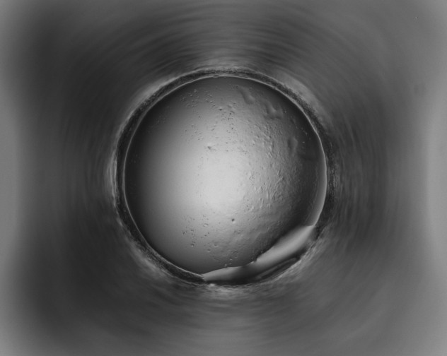 X0000093461030200710121402