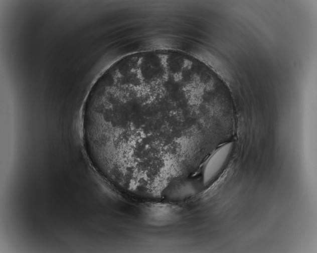 X0000093461031200710121402