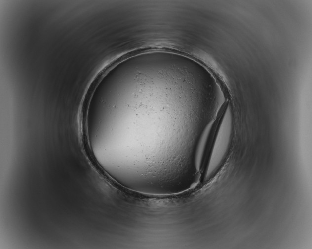 X0000093461032200710121402