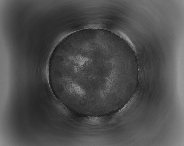 X0000093461035200710121402