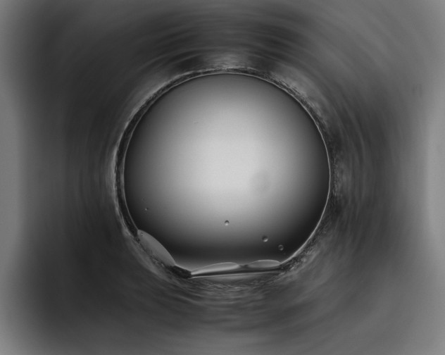 X0000093461039200710121402