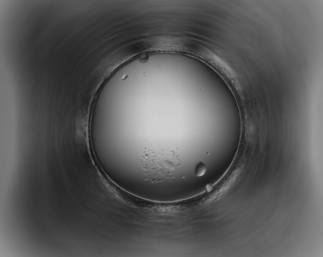 X0000093461041200710121403