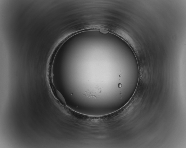 X0000093461043200710121403