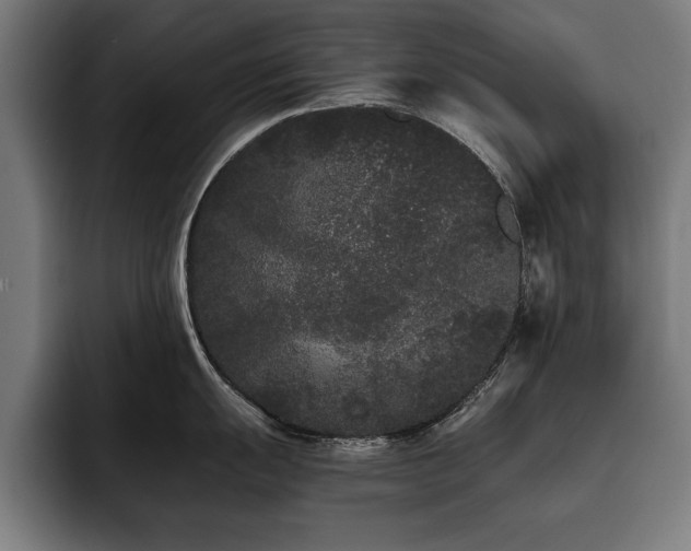 X0000093461055200710121403