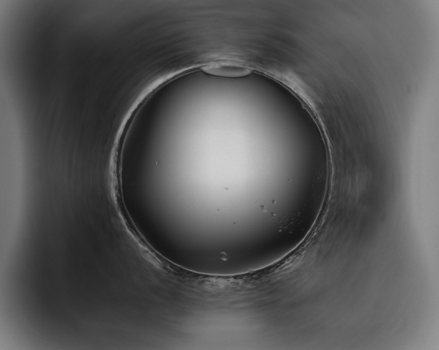 X0000093461056200710121403