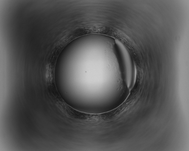 X0000093461058200710121402