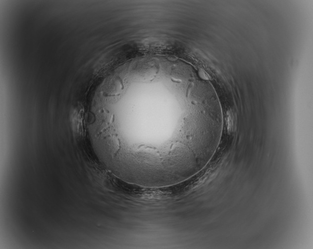 X0000093461059200710121402