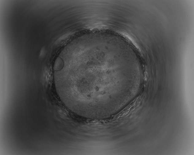 X0000093461063200710121402