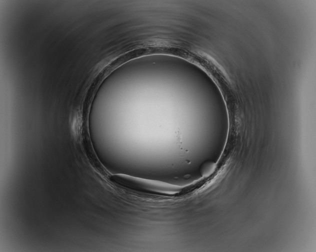 X0000093461065200710121402