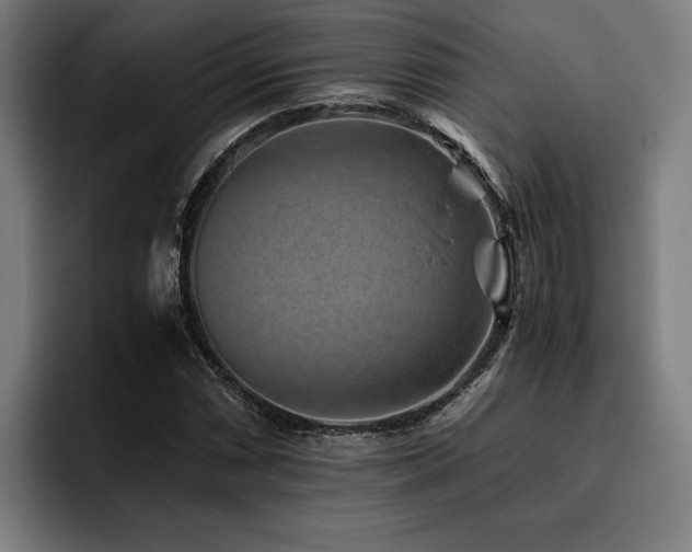 X0000093461066200710121402