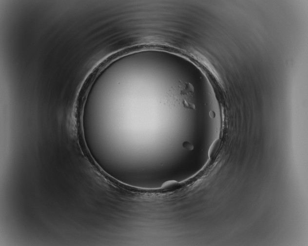 X0000093461068200710121402