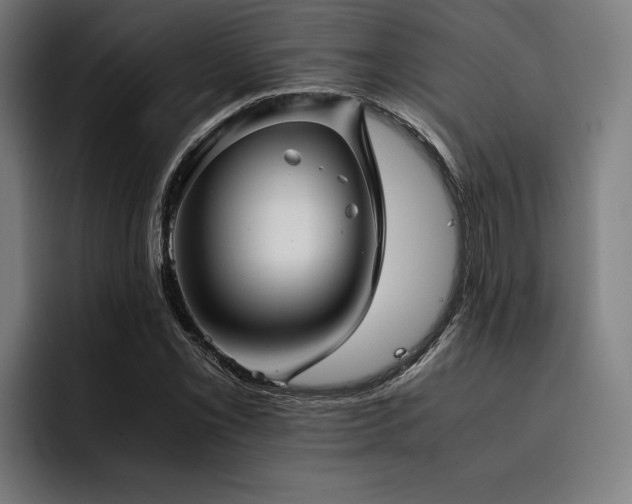 X0000093461069200710121402